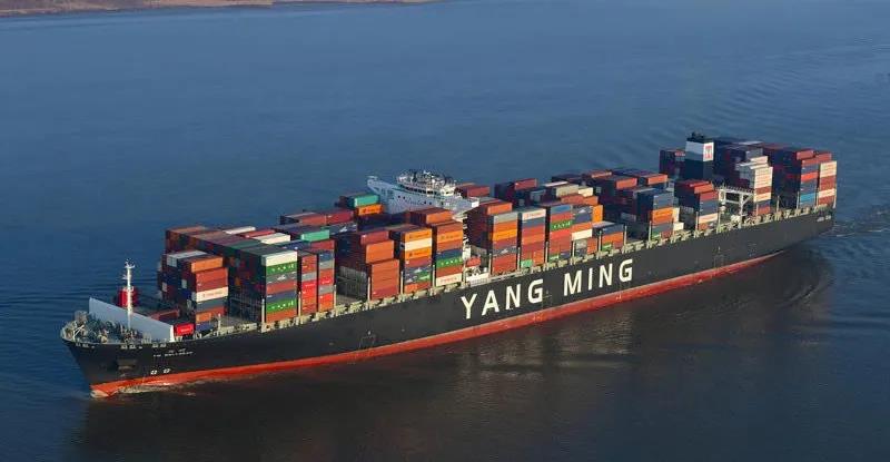 阳明海运2020年净利润4亿美元，将增发3亿新股！  